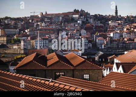 Blick auf Porto's Ribeiro von den Dächern von Vila Nova de Gaia, Porto, Portugal. Stockfoto