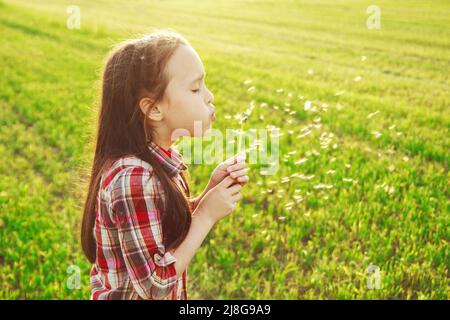 Mädchen blgirl Schläge auf einen Dandelion Stockfoto