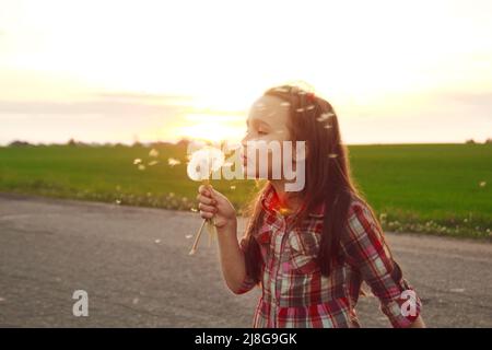 Mädchen blgirl Schläge auf einen Dandelion Stockfoto