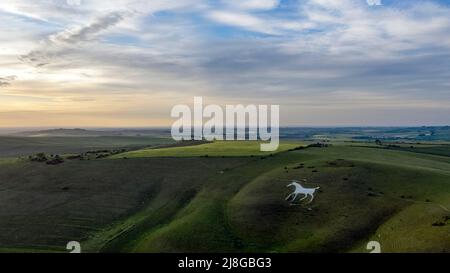Luftaufnahme des Alton Barnes White Horse in der Nähe des Dorfes Alton, Wiltshire. Der erste Schnitt wurde 1812 durchgeführt und befindet sich heute in einem nationalen Naturschutzgebiet. Stockfoto