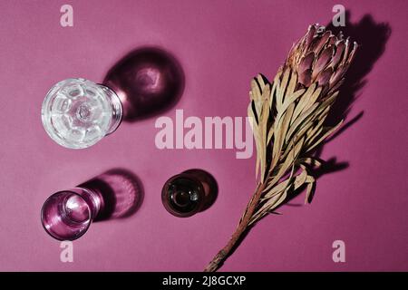 Gruppe von Gläsern mit Wasser und ihren Schatten und verwelkte Blume mit Blüten und trockenen Blättern vor purpurem Hintergrund Stockfoto