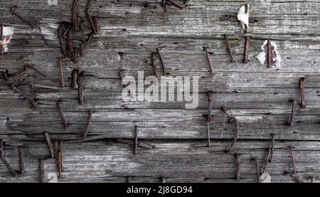 Alte verwitterte Holzplanke mit verrosteten Metallklammern und Nägeln Stockfoto