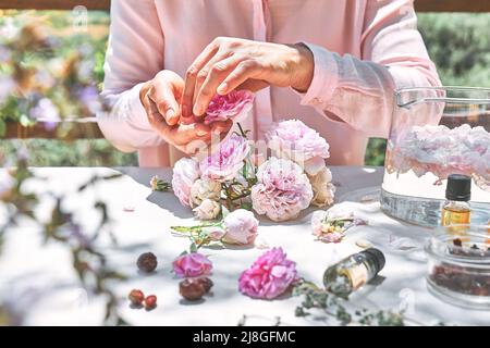 Frau bereitet Rosenwasser mit rosa Rosenblüten in einer Glasschüssel zu. Hautpflege und Spa, natürliche Schönheitsbehandlungen, hausgemachte Kosmetik. Selektiver Fokus. Stockfoto