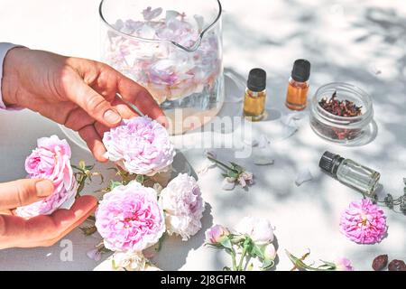 Frau bereitet Rosenwasser mit rosa Rosenblüten in einer Glasschüssel zu. Hautpflege und Spa, natürliche Schönheitsbehandlungen, hausgemachte Kosmetik. Selektiver Fokus. Stockfoto