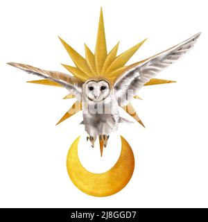 Aquarell fliegende Eule Scheune Eule. Eine realistische Illustration einer Eule. Weißer Vogel mit beigen Flügeln und Kopf Nachtvögel. Goldmond und Goldstern Stockfoto