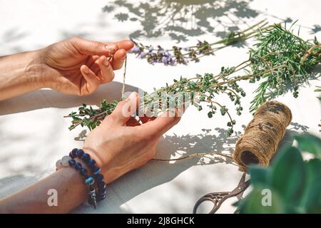 Alternative Medizin. Sammlung und Trocknung von Kräutern. Frau hält einen Haufen Majoran in den Händen. Kräuterkundige Frau bereitet frisch duftenden Bio Stockfoto