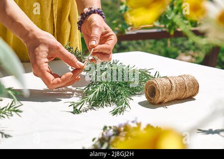 Alternative Medizin. Sammlung und Trocknung von Kräutern. Frau hält in ihren Händen einen Bund Rosmarin. Kräuterkundige Frau bereitet frisch duftenden Bio Stockfoto