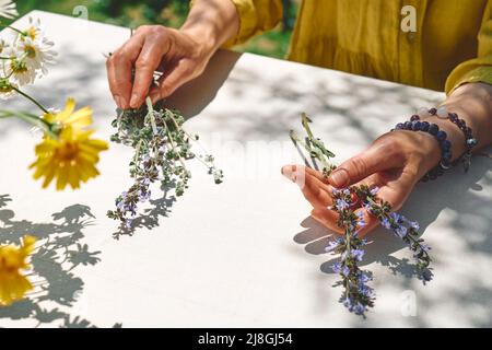 Alternative Medizin. Sammlung und Trocknung von Kräutern. Frau hält in ihren Händen einen Strauß Salbei Blumen.Kräuterkundige Frau bereitet frische duftende Orgel Stockfoto