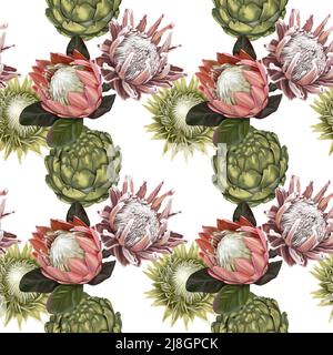 Protea Nahtloses Muster. Aquarell realistische Blüten von protea und Anthurium. Illustration Tapete. Stoffdruck Stockfoto