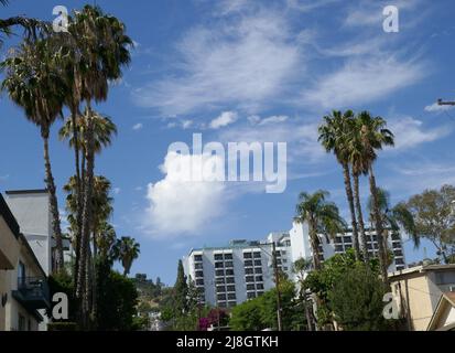 Los Angeles, California, USA 15. May 2022 Ein allgemeiner Blick auf die Atmosphäre des London Hotel West Hollywood am 1020 N San Vicente Blvd, wo Kim Kardashian, One Direction, Oprah Winfrey und Chris Pratt am 15. Mai 2022 in Los Angeles, Kalifornien, USA, übernachtet haben. Foto von Barry King/Alamy Stockfoto Stockfoto