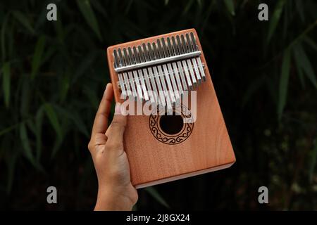 Hand halten mit Kalimba oder Mbira ein afrikanisches Musikinstrument aus Holzbrett und Metall in dunklem Hintergrund Stockfoto