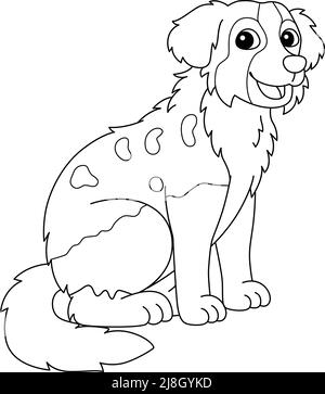 Australian Shepherd Dog Coloring Page Isoliert Stock Vektor