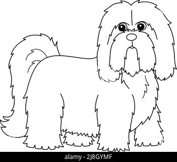 Lhasa Apso Dog Coloring Page isoliert für Kinder Stock Vektor