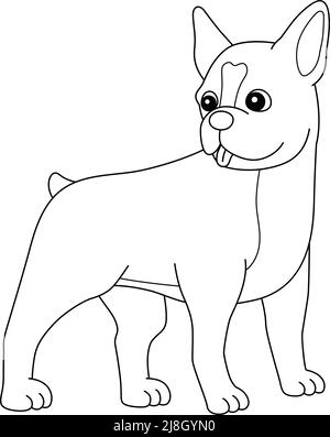 Boston Terrier Dog Coloring Page isoliert für Kinder Stock Vektor