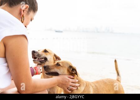 Frau streichelte zwei Mischlingshunde an einem Strand Stockfoto