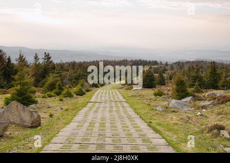 Brocken im Nationalpark Harz, Sachsen-Anhalt, Deutschland. Typische Wanderweglandschaft. Stockfoto