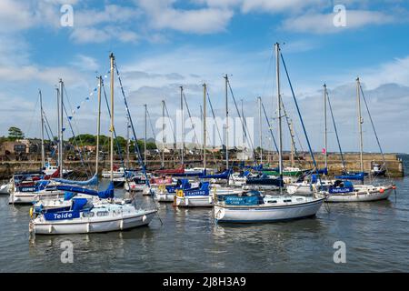 Segelboote vertäuten an sonnigen Tagen im Fisherrow Harbour, Musselburgh, East Lothian, Schottland, Großbritannien Stockfoto