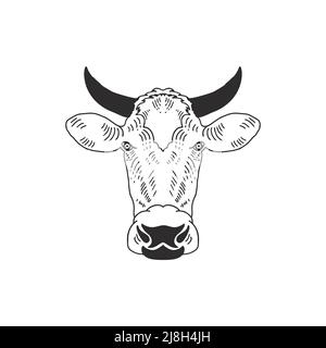 Kuhkopf-Logo auf weißem Hintergrund. Design-Inspiration für das Farm Animal Logo Stock Vektor