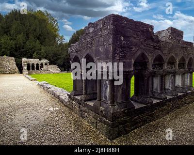 Cong Abbey ist eines von zehn oder sogar Hunderten von ruinierten Abteien und Klöstern in Irland. Stockfoto