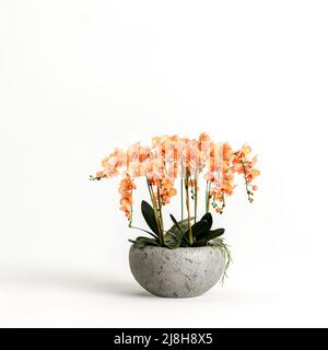 3D Darstellung von Blumen, die isoliert auf weißem Hintergrund gegossen wurden Stockfoto