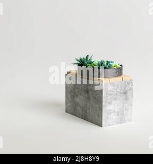 3D Illustration von Beton-Zimmerpflanzen isoliert auf weißem Hintergrund Stockfoto