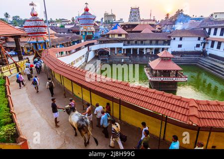 Udupi, Karnataka, Indien : Menschen gehen eine heilige Kuh bei Sonnenuntergang um den Madhva Sarovara Wasserbehälter neben dem 13. Jahrhundert Krishna Tempel gegründet b Stockfoto