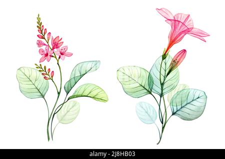 Wasserfarbige Blumensträuße mit transparenter Hibiskusblüte und Eukalyptus. Farbenfrohe tropische Kompositionen isoliert auf Weiß. Botanische Blumenabbildung Stockfoto