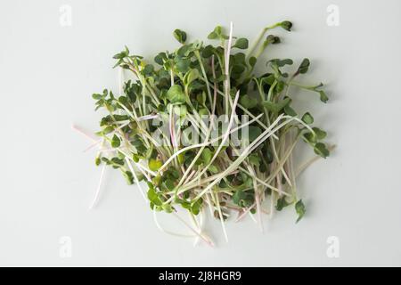 Vegan und frisches Mikrogrün auf weißem Hintergrund. Stockfoto