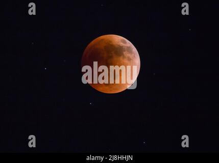 Blick auf den Super Blood Flower Moon und die umliegenden Sterne am Abend des 15.-16. Mai 2022. Stockfoto