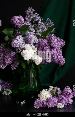 In einer grünen Glasvase auf schwarzem Hintergrund steht ein duftendes Bouquet von bunten Fliedern. Stockfoto