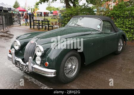 Jaguar XK150 Drophead Coupé (1960), Jaguar 100. Jahrestag, 15. Mai 2022, Brooklands Museum, Weybridge, Surrey, England, Großbritannien, Großbritannien, Europa Stockfoto