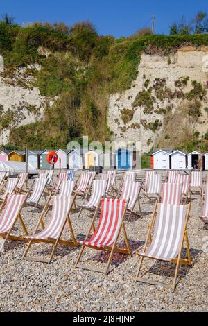 Beer Beach, Beer Village in East Devon, Großbritannien Stockfoto