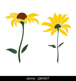 Satz von zwei offenen Heliopsis-Blüten-Vektor-Illustration isoliert auf weißem Hintergrund. Vektor Skizze Stil Draufsicht Handzeichnung von wild, Heliopsis, fals Stock Vektor