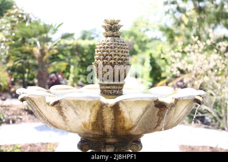 Brunnen mit Steinananas-Obstskulpturen, Wasserspiel im Exotic Garden im RHS Garden Wisley, Surrey, England, Großbritannien, 2022 Tage lang Stockfoto