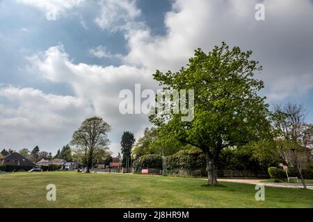 Crowborough, April 23. 2022: Chapel Green Stockfoto