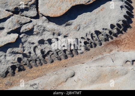 Drachenzähne scharfe Lavasteine am Makaluapuna Point in West Maui, Hawaii - Felsformationen aufgrund der schnellen Abkühlung der Lava, die in den Pacif fließt Stockfoto