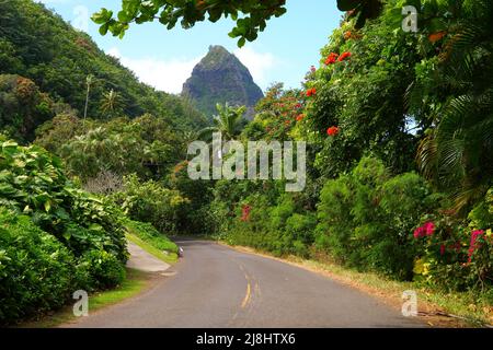 Kuhio Highway an der Nordküste der Insel Kauai in Hawaii, USA - Landstraße umgeben von üppigen Bergen und blühenden Bäumen Stockfoto