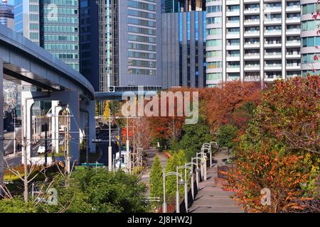 Herbst in Shiodome, Tokio, Japan. Herbstfärbung in Japan. Stockfoto