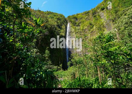 Waimoku Falls am Ende des Pipiwai Trail im Haleakala National Park auf der Straße nach Hana, östlich der Insel Maui, Hawaii, USA Stockfoto