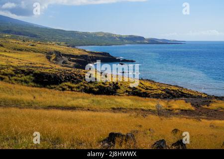 Felsige Klippen entlang des Piilani Highway im Südosten von Maui Island, Hawaii - trockenes Gras an der wilden Küste im Pazifischen Ozean Stockfoto