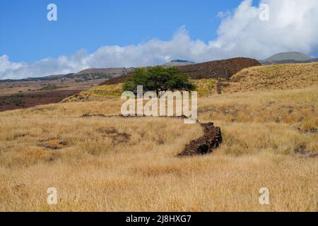 Ruinen eines hawaiianischen Tempels in der Nationalen Historischen Stätte Pu'ukohola Heiau auf der Big Island of Hawai'i im Pazifischen Ozean Stockfoto