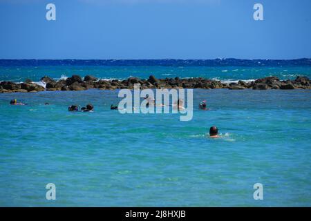 Touristen schnorcheln im Pazifik im Hanauma Bay Nature Preserve auf der Insel O'ahu auf Hawaii, USA Stockfoto