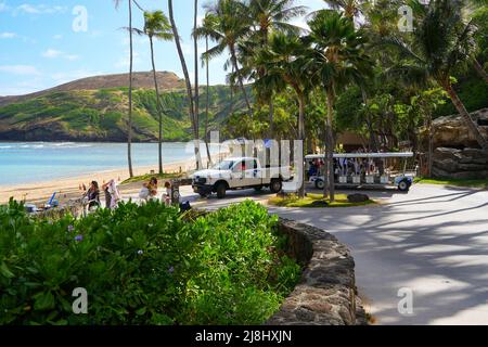 Straßenbahn-Shuttle, der Touristen zum und vom Parkplatz zum Strand des Hanauma Bay Nature Preserve auf der Insel O'ahu in Hawaii, USA, bringt Stockfoto