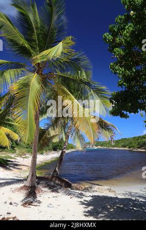 Guadeloupe Natur - Porte d'Enfer Strand (Hell's Gate). Karibische Landschaft. Stockfoto