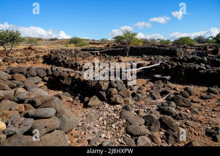 Ruinen von traditionellen Hale (Häuser) im alten Fischerdorf des Lapakahi State Historical Park auf der Insel Hawai'i (Big Island) in der P Stockfoto