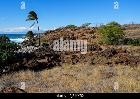 Ruinen der traditionellen hawaiianischen Häuser (Hale) im alten Fischerdorf des Lapakahi State Historical Park auf der Insel Hawai'i (Big Island) Stockfoto