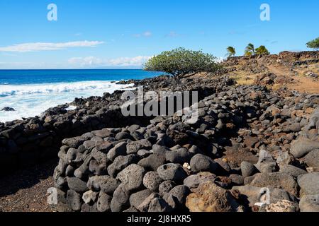 Ruinen von traditionellen Hale (Häuser) im alten Fischerdorf des Lapakahi State Historical Park auf der Insel Hawai'i (Big Island) in der P Stockfoto