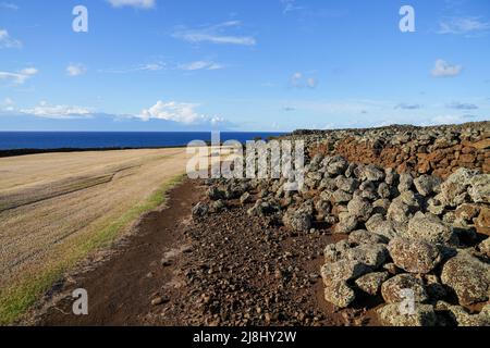 Mo'okini Heuiau im Norden von Big Island, Hawaii - Ruinen eines Tempels der hawaiianischen Religion im Kohala Historical Sites State Monument in der Nähe von Upo Stockfoto