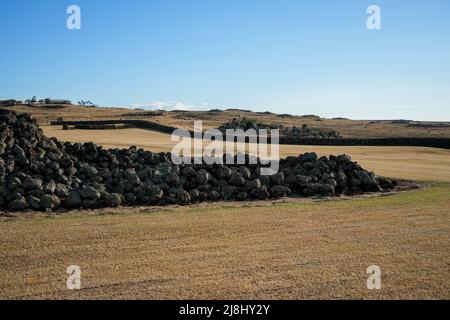 Mo'okini Heuiau im Norden von Big Island, Hawaii - Ruinen eines Tempels der hawaiianischen Religion im Kohala Historical Sites State Monument in der Nähe von Upo Stockfoto