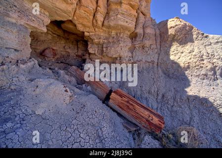 Eine Höhle im Jasper Forest direkt unter dem Achat Plateau im Petrified Forest National Park Arizona. Stockfoto